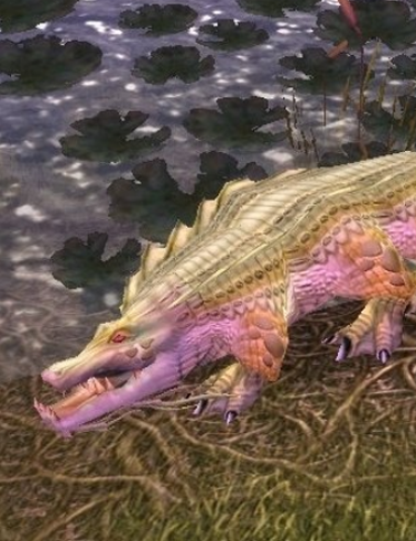 crocoliso.png.0a21e2c25a25655eef49b26a7a9c63d4.png